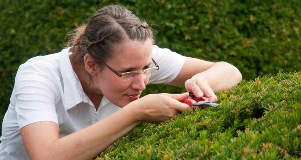 Driven to Succeed | Woman focused on cutting grass with scissors
